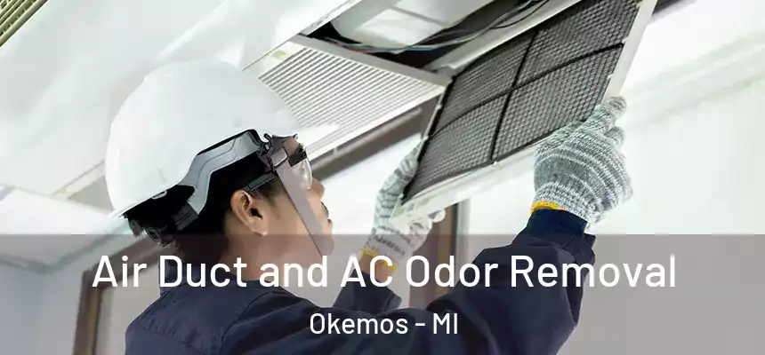 Air Duct and AC Odor Removal Okemos - MI