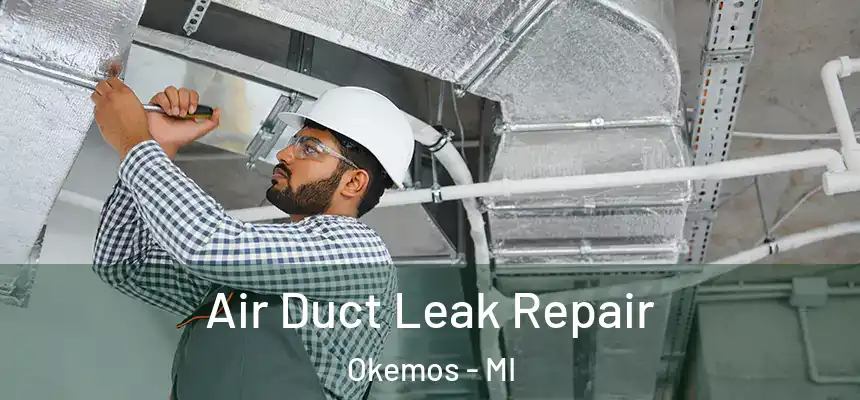  Air Duct Leak Repair Okemos - MI