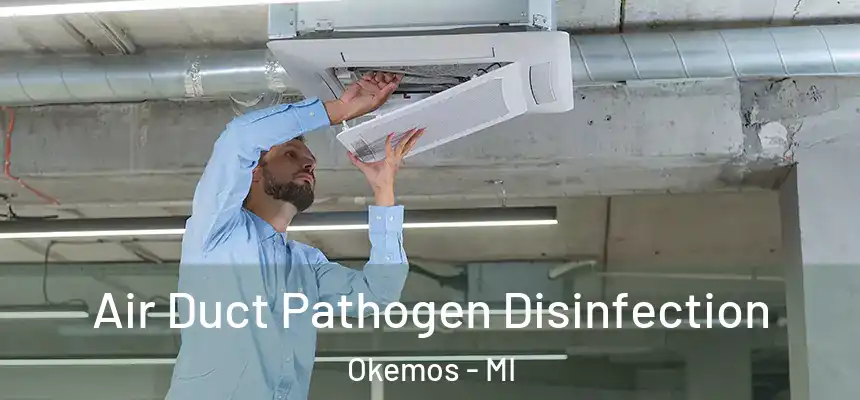  Air Duct Pathogen Disinfection Okemos - MI