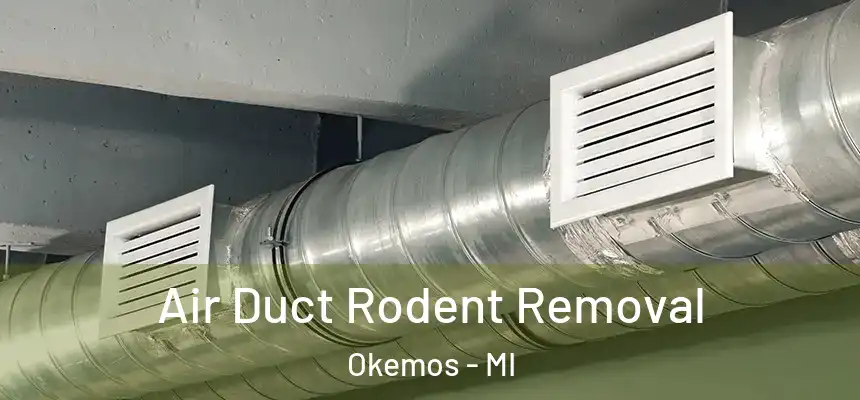  Air Duct Rodent Removal Okemos - MI
