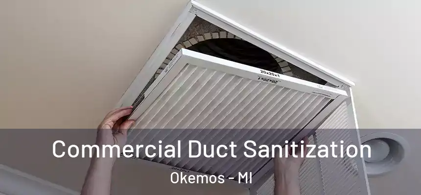 Commercial Duct Sanitization Okemos - MI