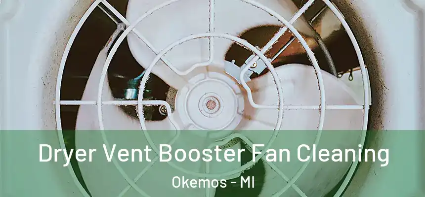  Dryer Vent Booster Fan Cleaning Okemos - MI