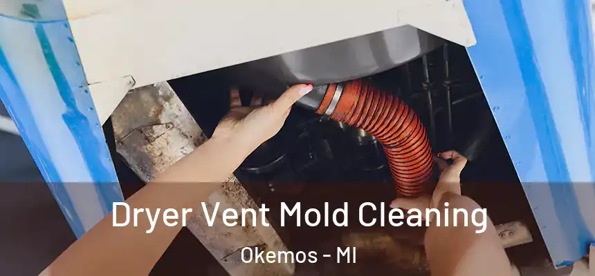 Dryer Vent Mold Cleaning Okemos - MI
