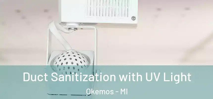  Duct Sanitization with UV Light Okemos - MI