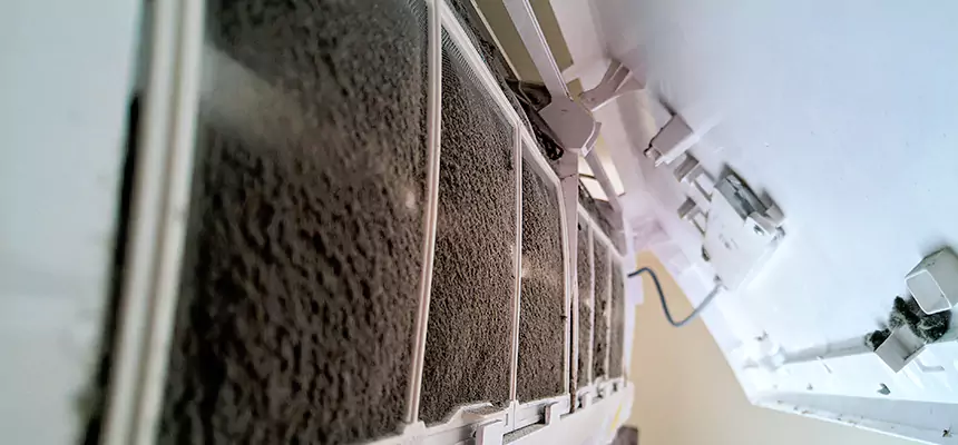 Preventive Air Duct Bacteria Removal in Okemos