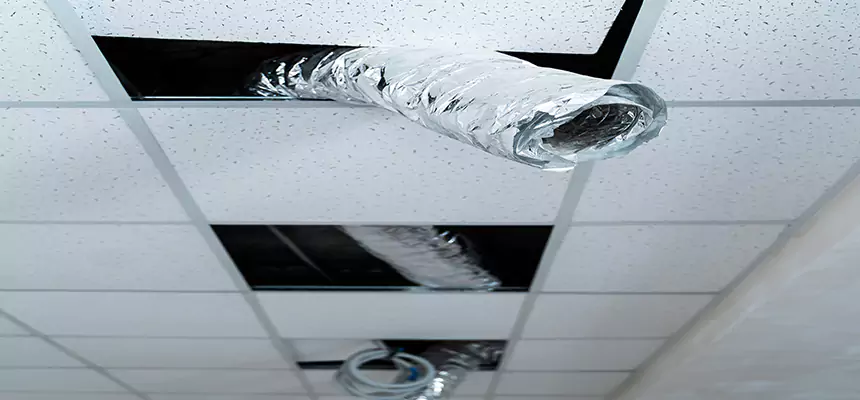 Our Air Duct Pet Hair Removal Services in Okemos, MI