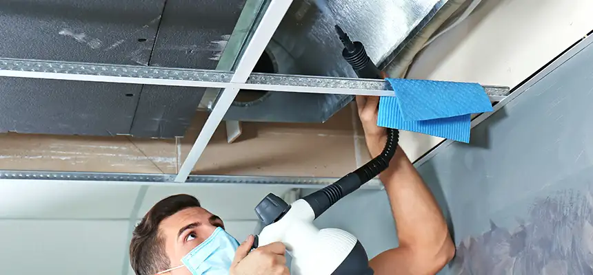 Our Air Duct Rodent Removal Services in Okemos, MI