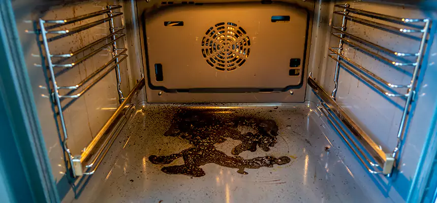 Our Dryer Vent Mold Cleaning Services in Okemos, MI