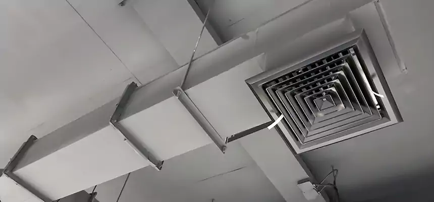 Our Rodent Droppings In Vents Services in Okemos, MI