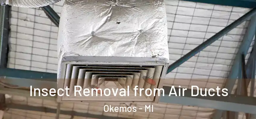  Insect Removal from Air Ducts Okemos - MI