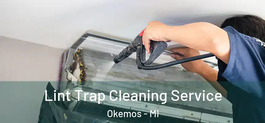  Lint Trap Cleaning Service Okemos - MI