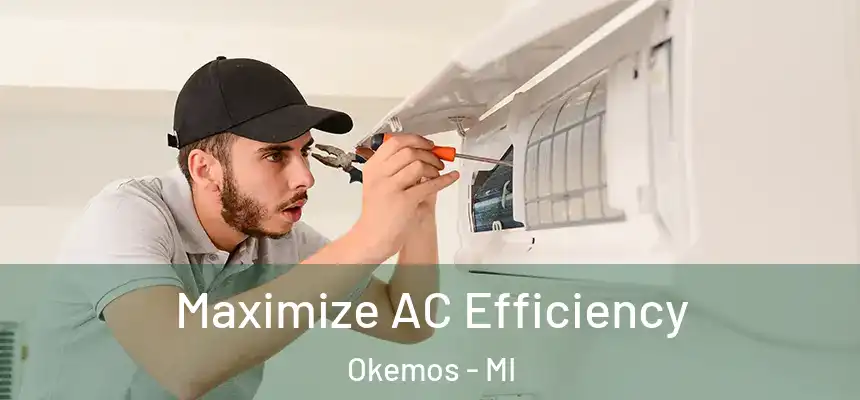  Maximize AC Efficiency Okemos - MI