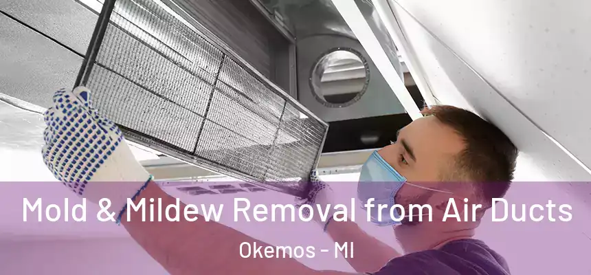  Mold & Mildew Removal from Air Ducts Okemos - MI