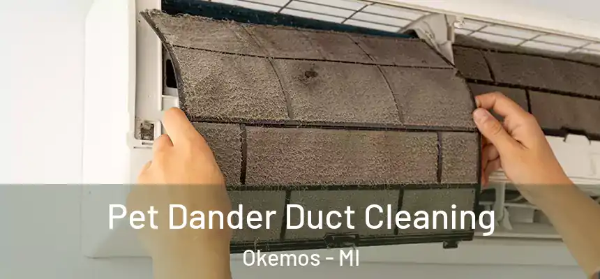  Pet Dander Duct Cleaning Okemos - MI