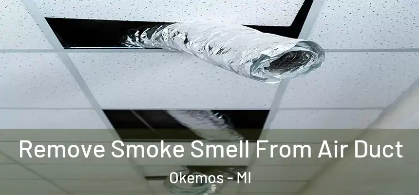  Remove Smoke Smell From Air Duct Okemos - MI
