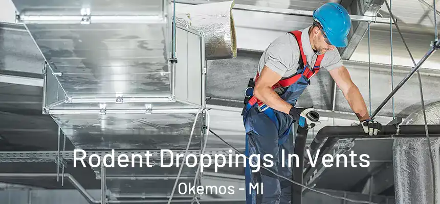 Rodent Droppings In Vents Okemos - MI