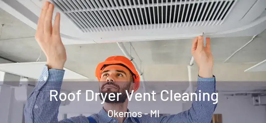 Roof Dryer Vent Cleaning Okemos - MI