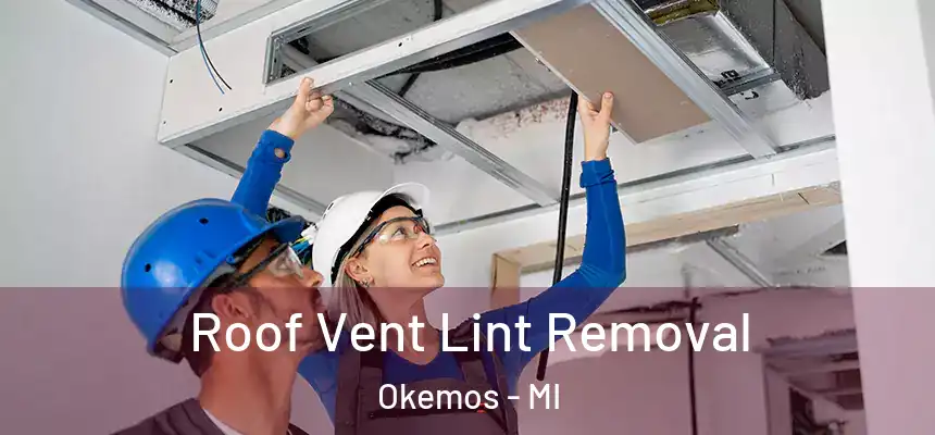  Roof Vent Lint Removal Okemos - MI