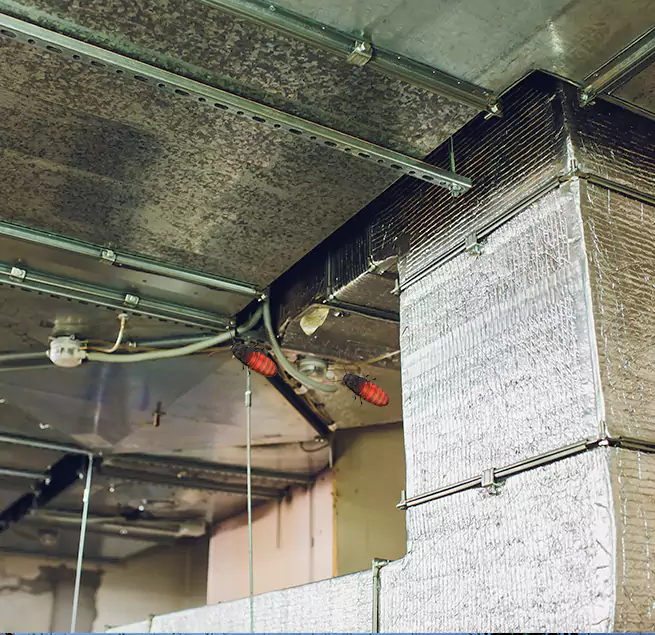 Why Homeowners & Businesses Trust Us in Okemos, MI?