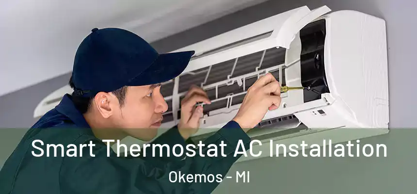  Smart Thermostat AC Installation Okemos - MI