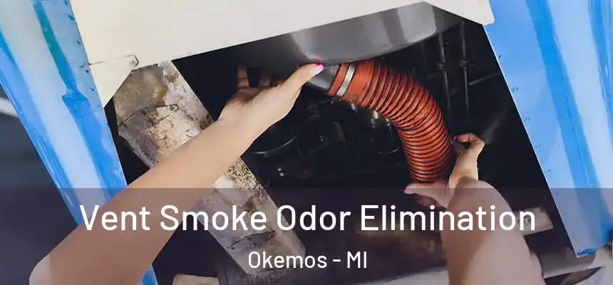  Vent Smoke Odor Elimination Okemos - MI