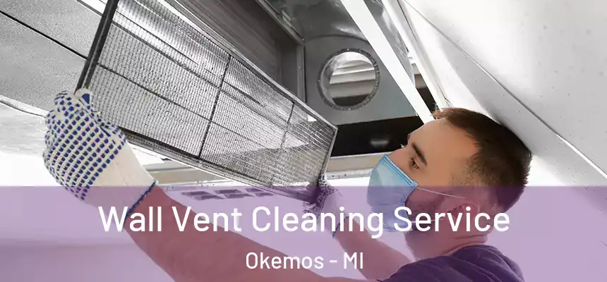 Wall Vent Cleaning Service Okemos - MI